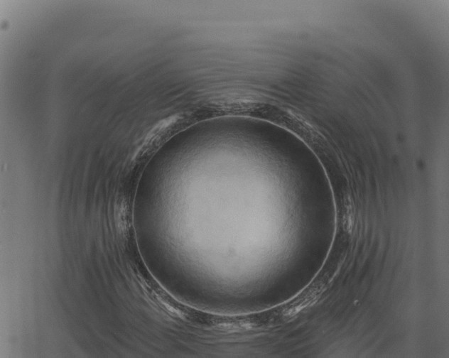 X0000062891108200601171506