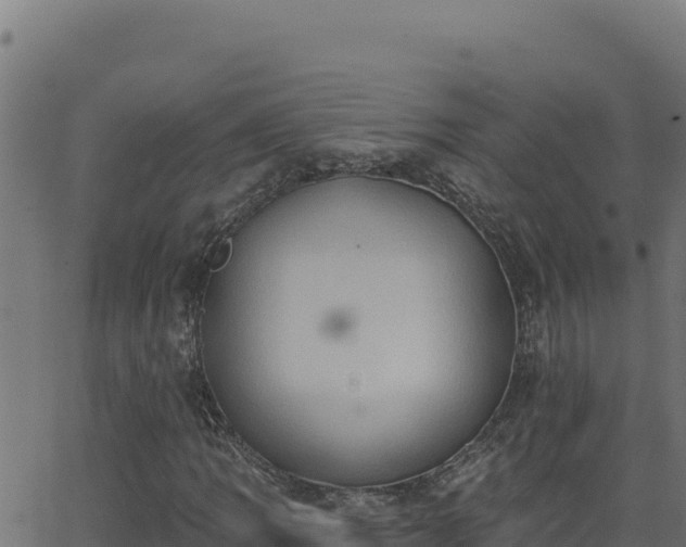 X0000062891109200601171506