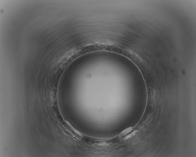 X0000062891110200601171506