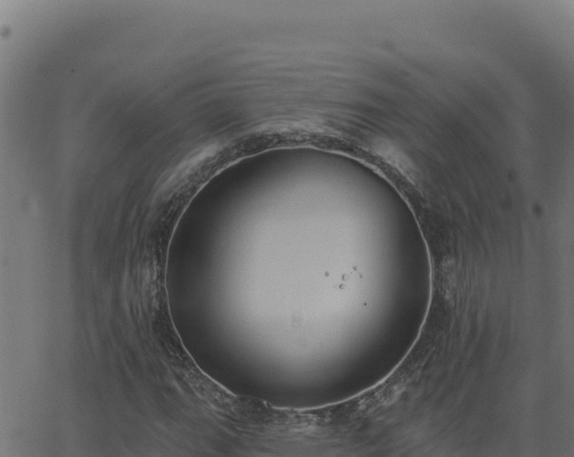 X0000062891111200601171506