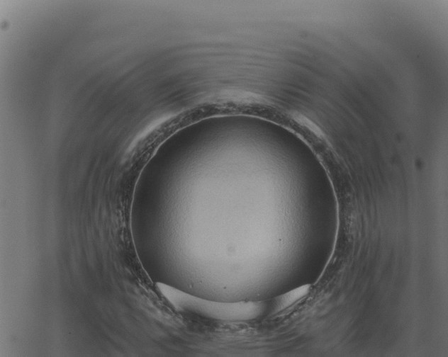 X0000062891112200601171506