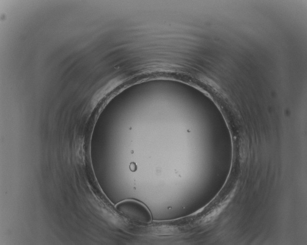 X0000062891113200601171506