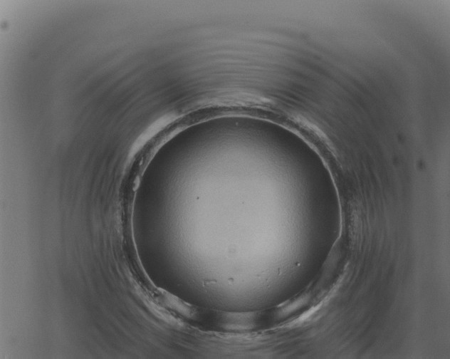 X0000062891114200601171506