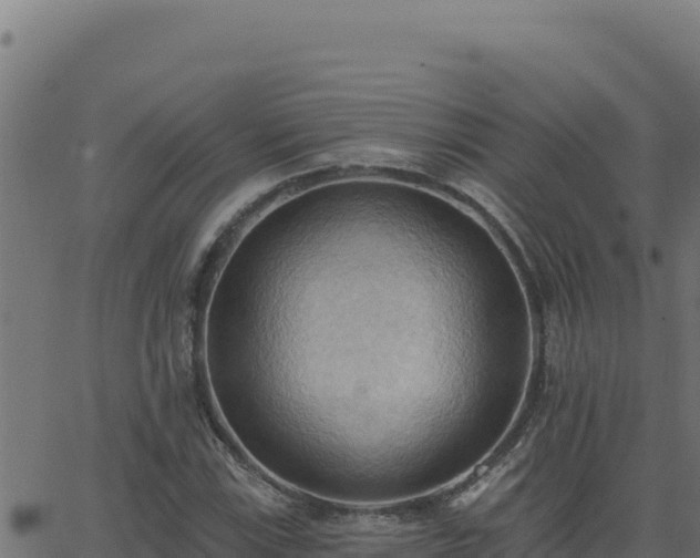 X0000062891115200601171506