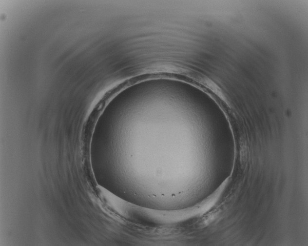 X0000062891116200601171506