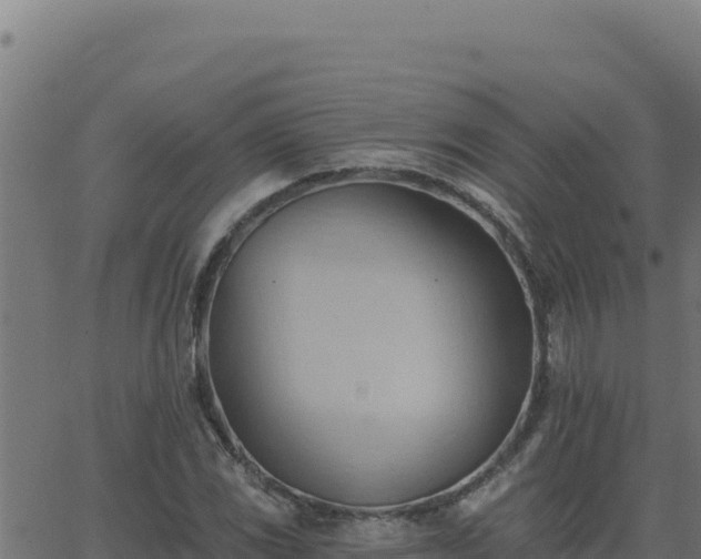 X0000062891117200601171506