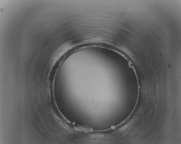 X0000062891118200601171506