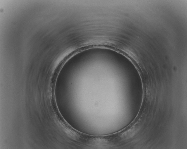 X0000062891119200601171506