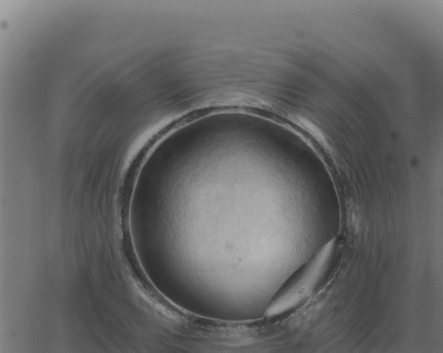 X0000062891120200601171506