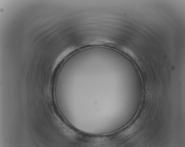 X0000062891122200601171506