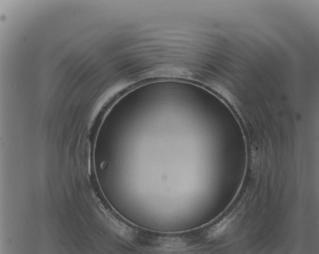 X0000062891123200601171506