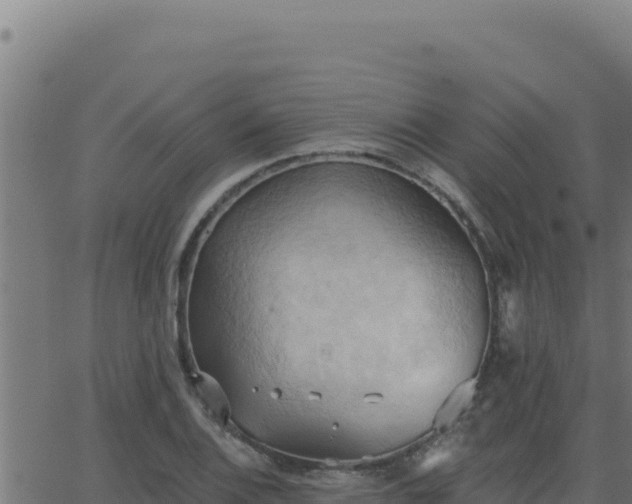 X0000062891124200601171506