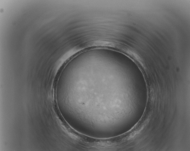 X0000062891125200601171506