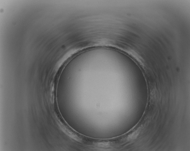 X0000062891126200601171506