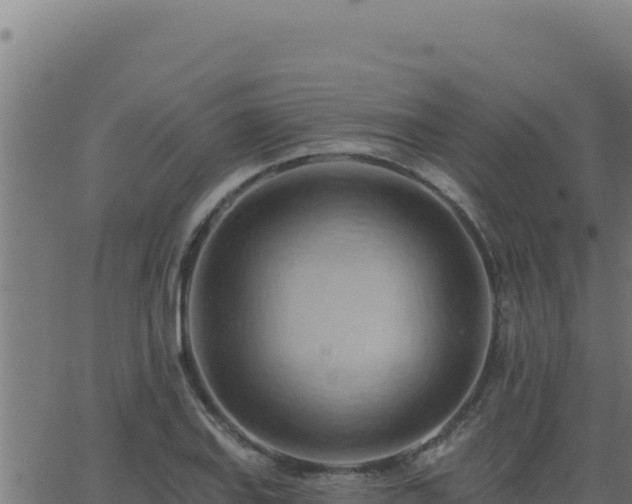 X0000062891127200601171506