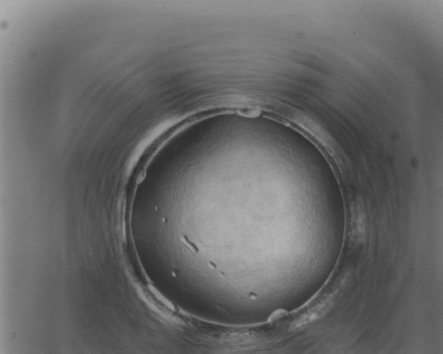 X0000062891128200601171506