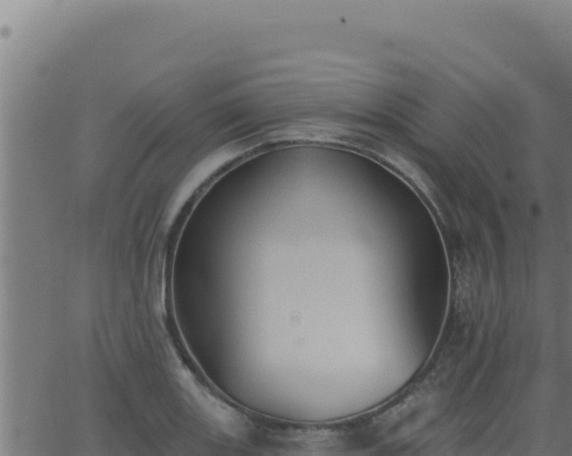 X0000062891131200601171506