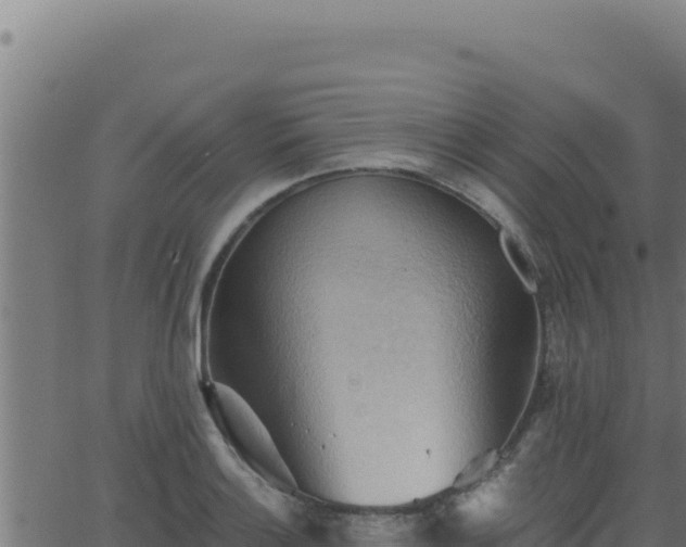 X0000062891132200601171506