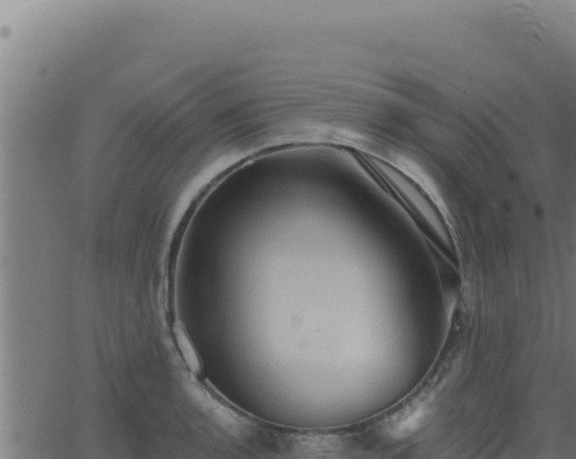 X0000062891136200601171507