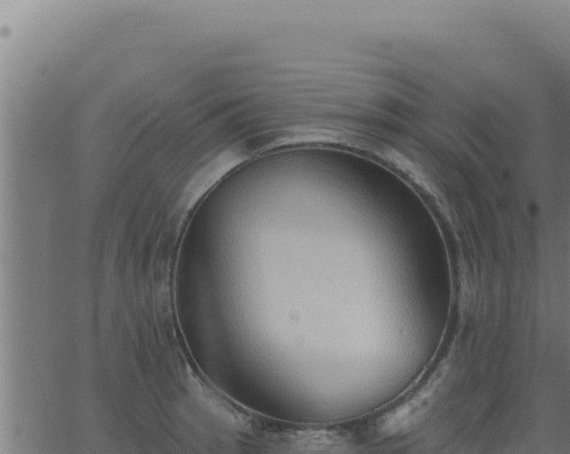 X0000062891137200601171507