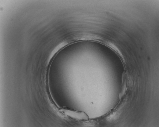 X0000062891138200601171507