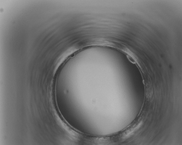 X0000062891139200601171507