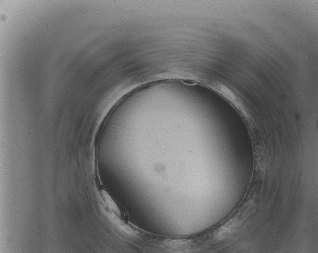 X0000062891140200601171507