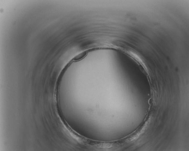 X0000062891141200601171507