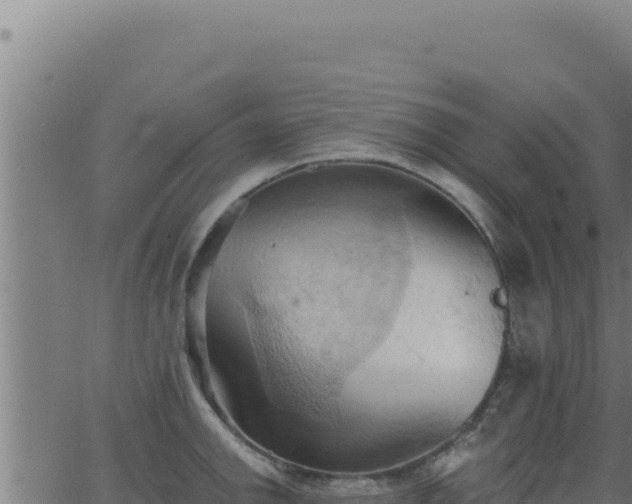 X0000062891142200601171507