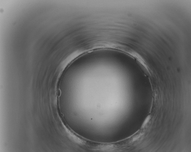 X0000062891143200601171507