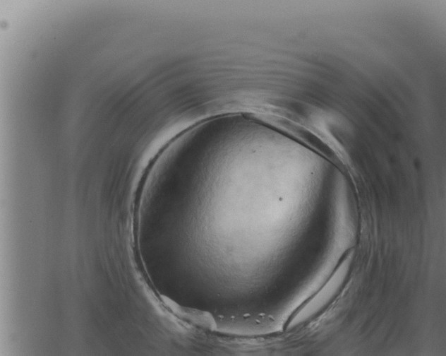 X0000062891144200601171507