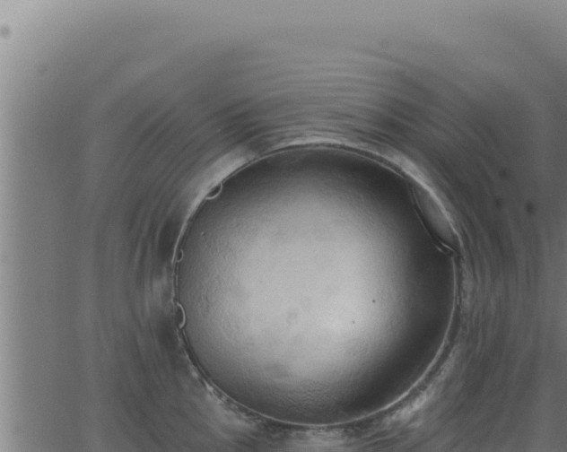 X0000062891145200601171507