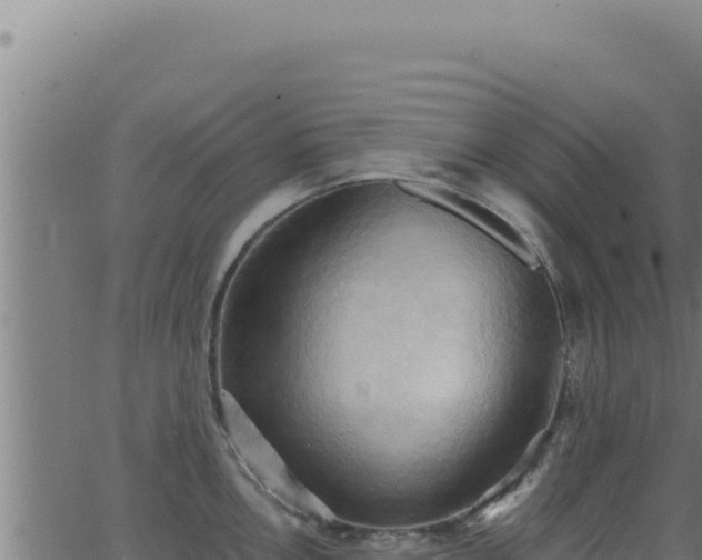 X0000062891146200601171507