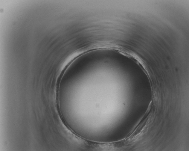 X0000062891147200601171507