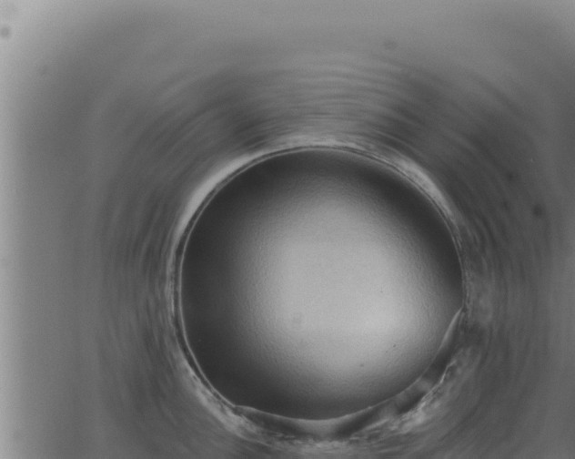 X0000062891148200601171507