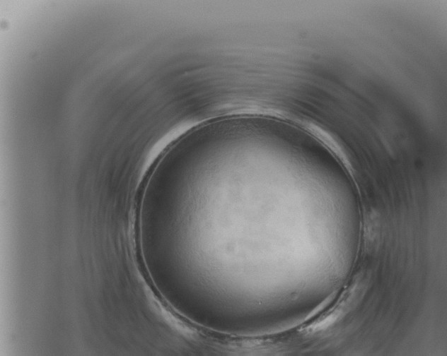 X0000062891149200601171507