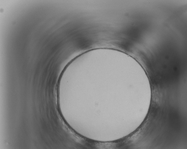 X0000062891150200601171507