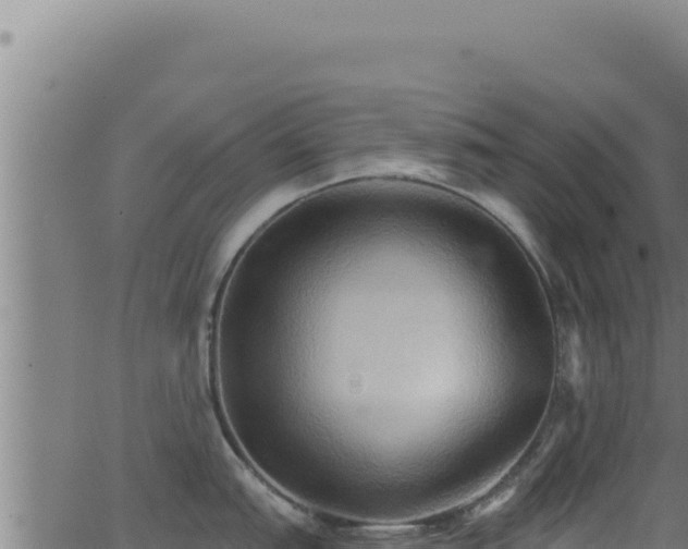 X0000062891151200601171507