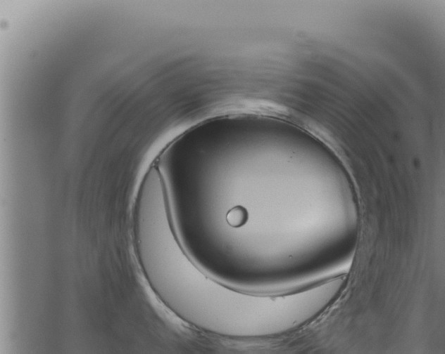 X0000062891152200601171507