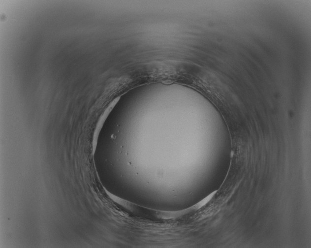 X0000062891153200601171506