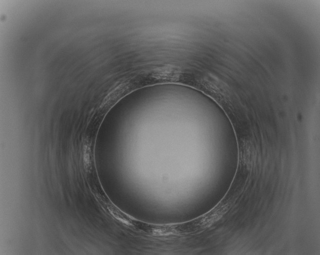 X0000062891154200601171506