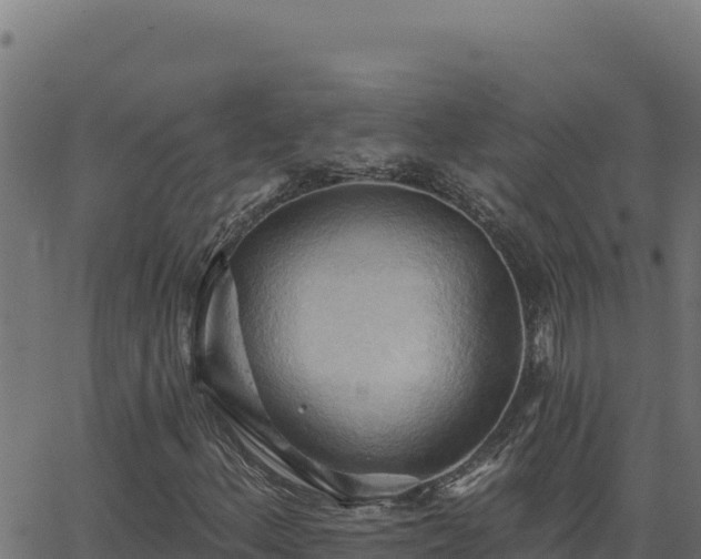 X0000062891156200601171506