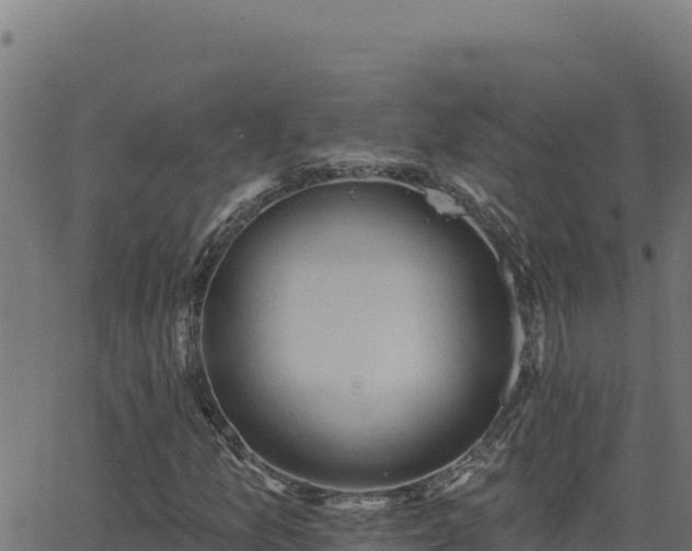 X0000062891157200601171506