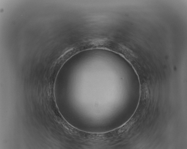 X0000062891158200601171506