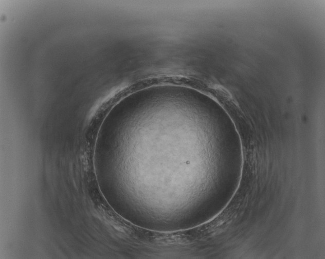 X0000062891159200601171506