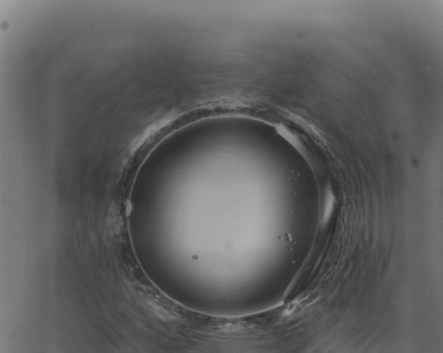 X0000062891160200601171506