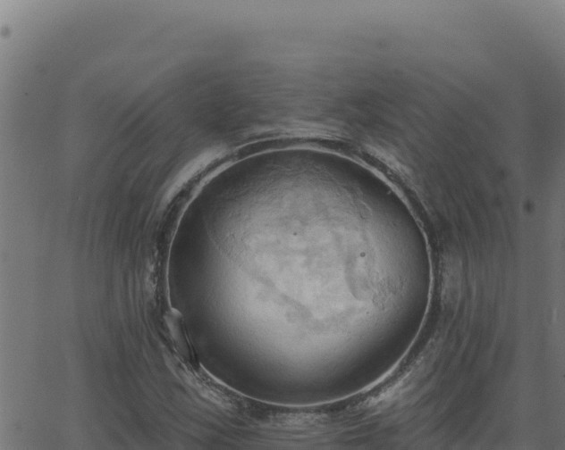 X0000062891163200601171506