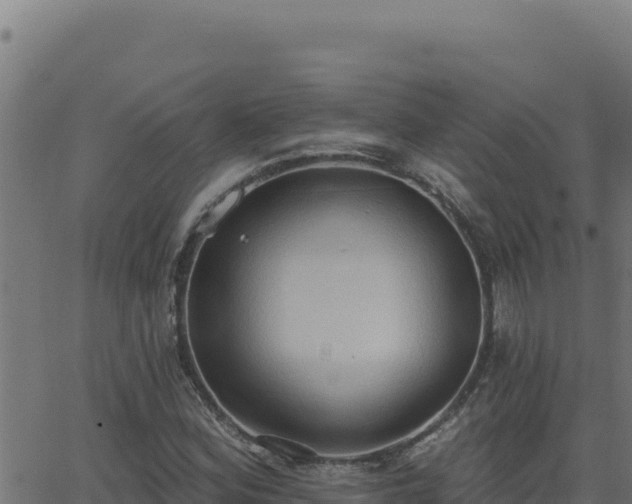 X0000062891164200601171506