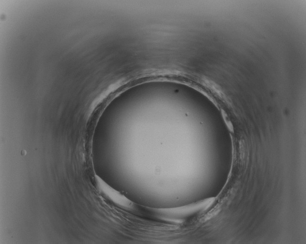 X0000062891165200601171506