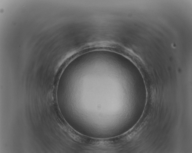 X0000062891166200601171506